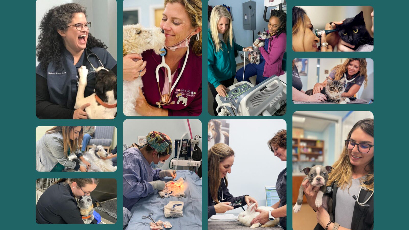 Whole Pet Veterinary Hospital